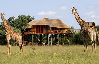 Pezulu Lodge